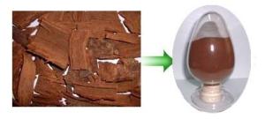 China GC pygeum africanum bark extract wholesale