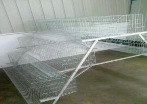 China Large Capacity Poultry Egg Farm Equipment A Type Hot Dip Galvanized Steel on sale