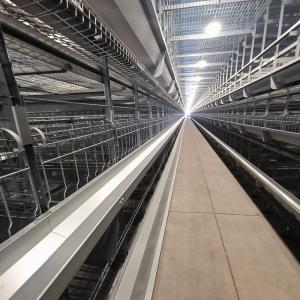 China 54-384 Birds/Set Layer Bird Cage , SONCAP Battery System Of Poultry Farming wholesale