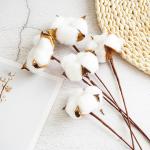 5cm Cotton Dried Flower Bunches