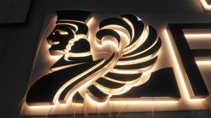 China Stainless Steel Backlit Channel Letter Signs 9000K 18mm CE Certificated wholesale
