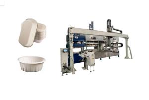 China Biodegradable Pulp Molded Meat Tray Machine wholesale