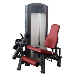 China China gym fitness exercise equipment seated leg extension stretching machine wholesale