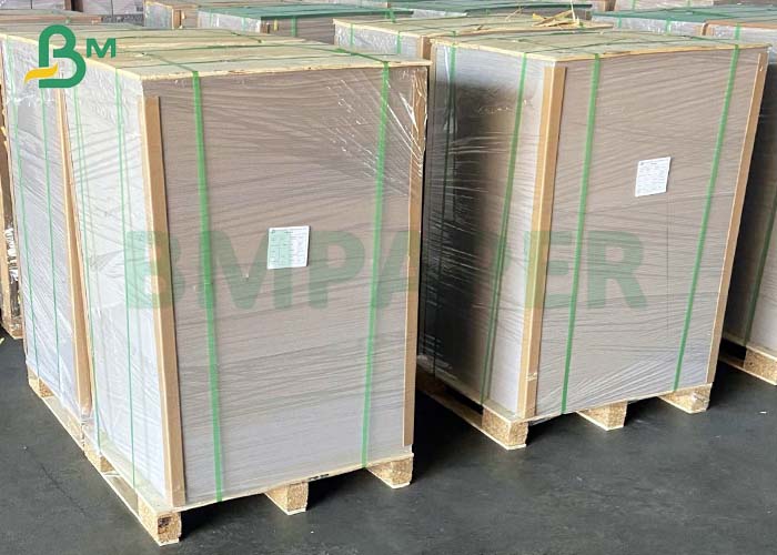 Singles Sided Glossy Coated  Food Grade 250g Paper For Burger Packing
