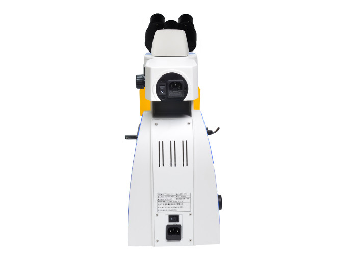 UOP Upright Fluorescence Microscope , High Resolution Fluorescence Microscopy
