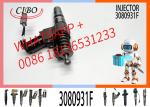 Diesel Fuel Injector 3081315 3073995F 3083846T 3083848F 3411766F 3080931F