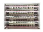 Repair Dental Acrylic Resin Teeth Material In Dentistry Single Layer