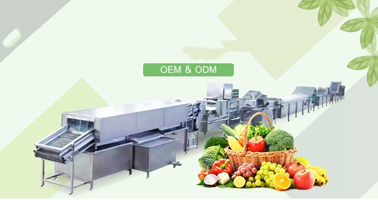 Customizing Multiple specifications box dryer for lettuce/cocoa seeds