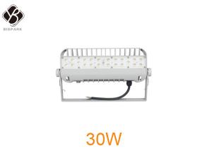 China High Output 30W IP66 LED Outside Flood Lights OEM / ODM Bridgelux LED Chip wholesale