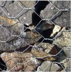 hot sale Rabbit Proof Netting manufacturer