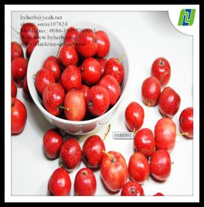 China hawthorn leaf extract powder 90% wholesale