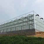 Farming Venlo Aluminum Frame Glass Greenhouse For Agriculture Growing