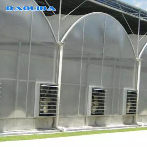 China Beautiful Polycarbonate Sheet Greenhouse Plastic With Dome Roof Customized wholesale