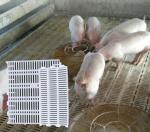 Goat 300kgs Poultry Plastic Slat Floor 600x700mm PP Livestock