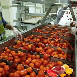 China Sauce Paste Tomato Ketchup Production Line Commercial wholesale