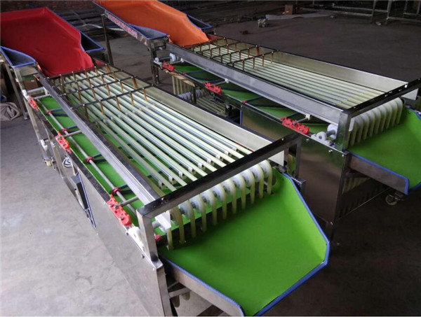 cherry grading machine,dates sorting machine,waxberry sortor,plum sorting machine