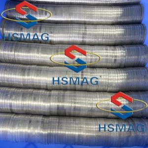 China HSMAG SmCo Super Powerful Ring Magnet Sm2Co17 Dsic Shape Magnet wholesale