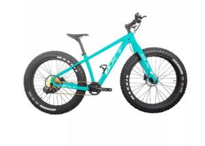 China 26 Carbon Snow Fat Bike Disc Brake Full Carbon Fiber 12 Speed Beach Cycle wholesale