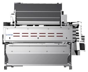 China Walnut CCD Color Sorter wholesale