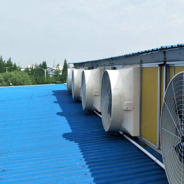 China Industrial Exhaust Fan 48&quot; High-strength Fiberglass Greenhouse Fan Warehouse Fan With EC Motor wholesale