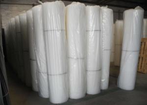 China White Colour 20x20mm Hole Mesh Plastic Netting 350g For Poultry wholesale