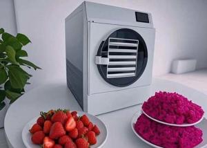 China 15KG 20kg Home Commercial Freeze Dry Machine For Long Term Food Preservatio wholesale