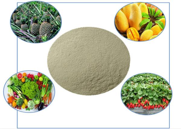 Organic Fertilizers Containing Amino Acid Chelated Calcium And Boron In Plant