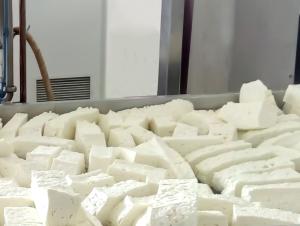 China Pasteurized US316 500L Dairy Cheese Making Equipment wholesale