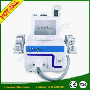 China 2017 Hottest fat freezing liposuction machine wholesale