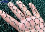 PVC Coated Hexagonal Netting Wire Mesh BWG18-BWG22