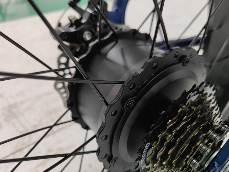 Off-Road Adventures Made Easy with Electric Fat Tire Bike 7 Speed MTB E-Bike and 4.0 Inch Tires