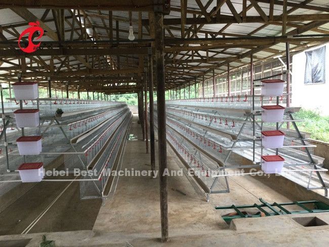 220V 380V Scraper Type Manure Removal Machine For Poultry Chicken House Star