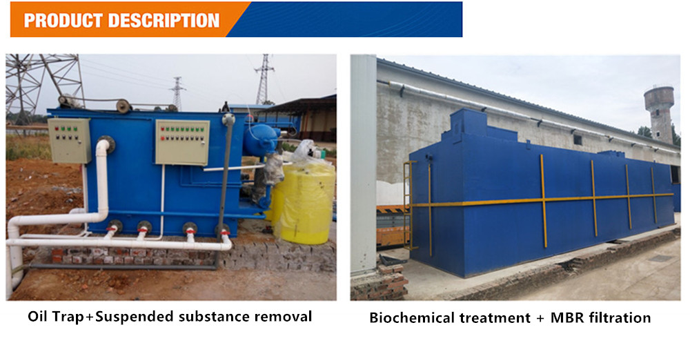 Customized 11kw Mobile Poultry Slaughterhouse Equipment for Chicken and Cow Processing