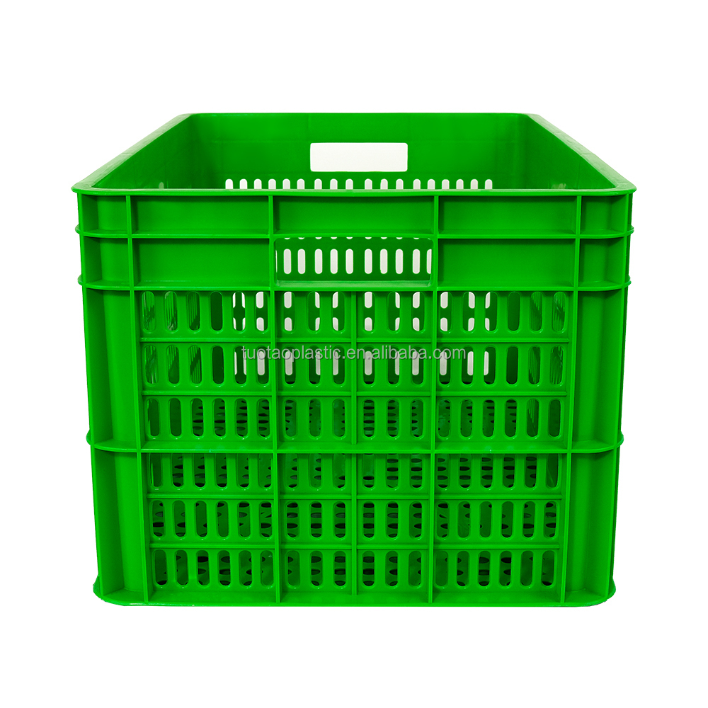 Strawberry Sweet Container Plastic Food Box ECO Friendly and Sample Free with Design