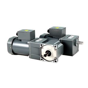 Hot sale Micro Motor AC 25W single Phase reduction Motors speed controller