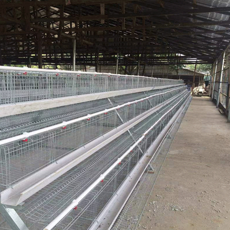 4 Layers / Cell Chicken Poultry Cage Automatic Ventilation Cooling System