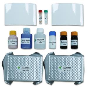China Parvovirus Antibody Diagnostic Porcine Test Kit 192Wells/Kit PPV wholesale