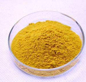 China 100% Natural Fenugreek Seed Extract 4-Hydroxyisoleucine 20% powder wholesale