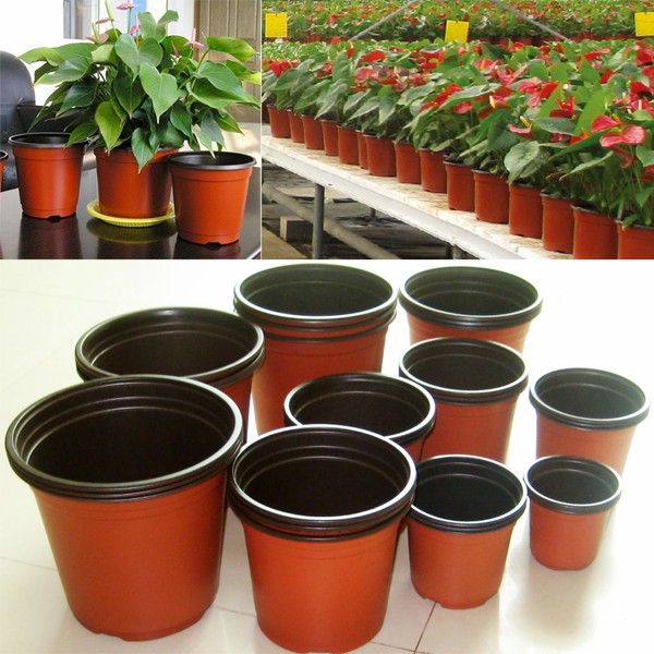 Degradable Polymers Blister Small Plastic Flower Pots For Plant