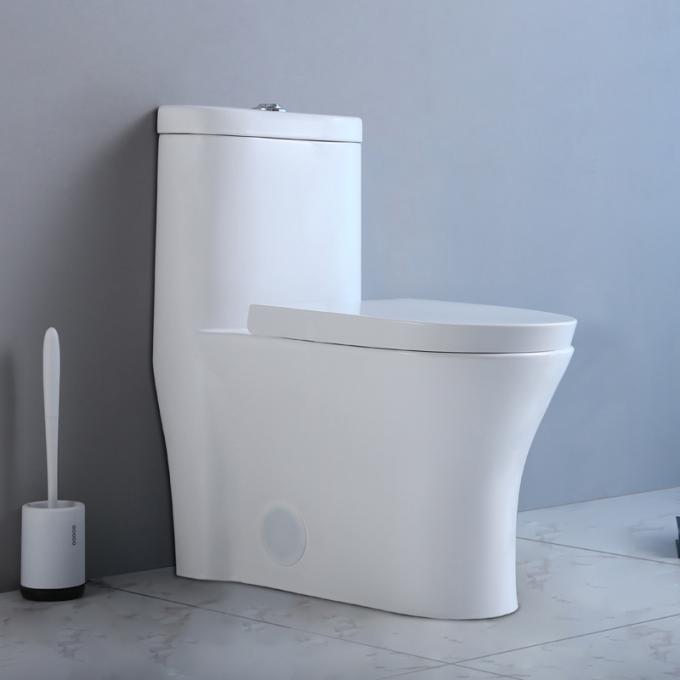 Commercial Ada Bathrooms Toilets For Physically Handicapped Challenged Person 2