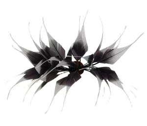 China Millinery Stripped Goose Feather Mounts , Dried Flowers Feathers 10x15cm wholesale