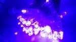 LED Fairy Lights ( Outdoor IP65 )