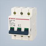 63A MCB Circuit Breaker RCB