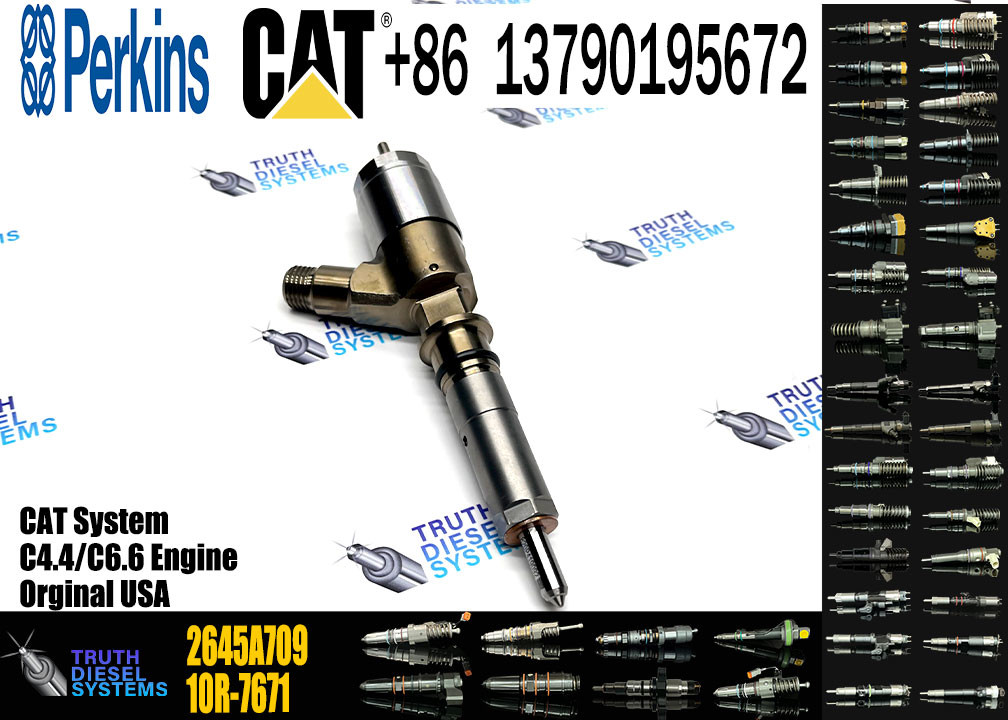 Fuel Injector 2645A709 295-9130 382-0480 282-0490 292-3780 306-9380 306-9390 310-9067 2645A751
