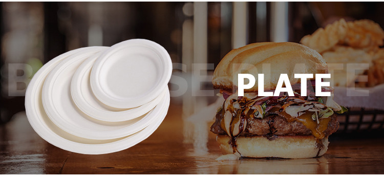 Compostable Biodegradable Packing disposable bagasse Buger pulp paper box