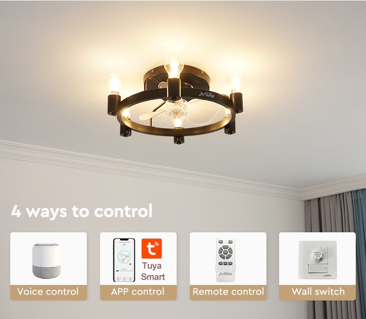 ceiling fan with light