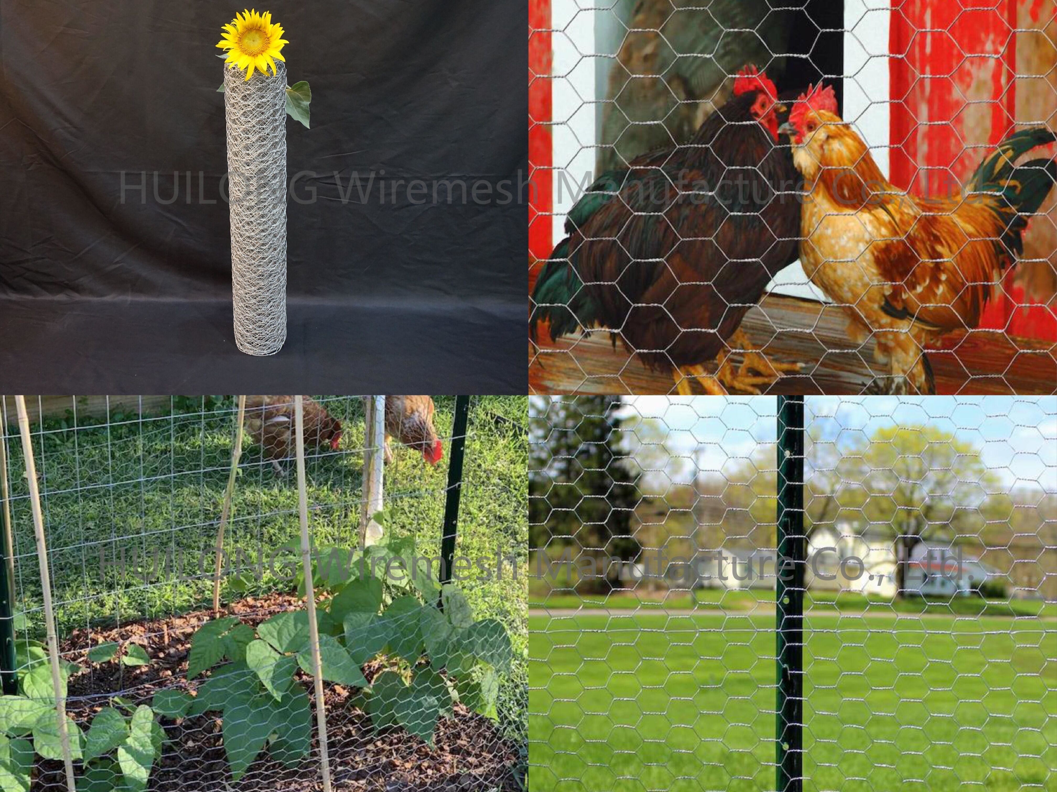1/2inch Opening Hexagonal Wire Netting , 24 Gauge Galvanized Chicken Wire Mesh
