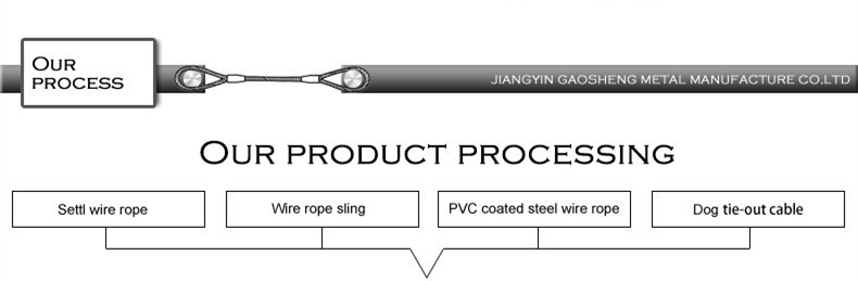 12 Feet PVC Coated Dog Tie Out Cable And Stake Pet Accessories Solid Pattern