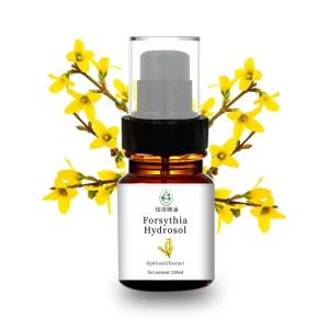 China Colorless Natural Hydrosol Forsythia Fruit Extract Clearing Away Heat Detoxification wholesale