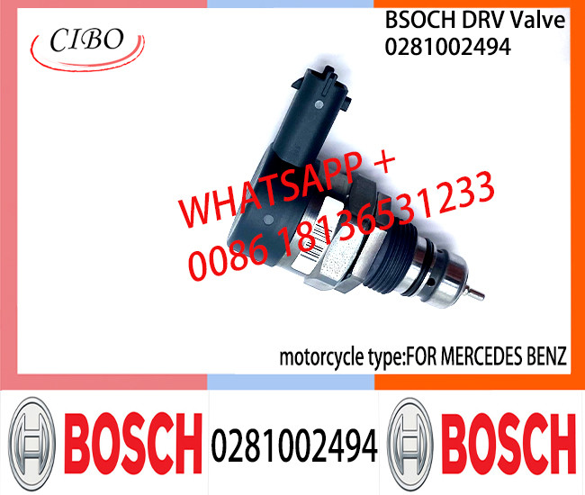 BOSCH DRV Valve 0281002494 Control Valve 0281002494 FOR MERCEDES BENZ